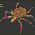 Red Tick with Orange Legs and Vibrant Red Body on Dark Background Close Up View