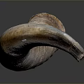 Natural Horn Shaped Furniture Decoration Piece With Smooth Brown Surface