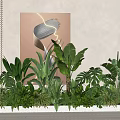 Lush Indoor Green Plants In Long Planter With Various Large Leaf Ferns And Neat Arrangement