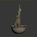 Potted Plant with Curved Trunk Green Leaves and White Flowers in Ceramic Pot Dark Background