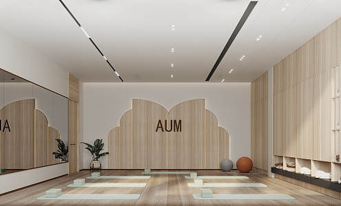 Modern Yoga Room 3d model