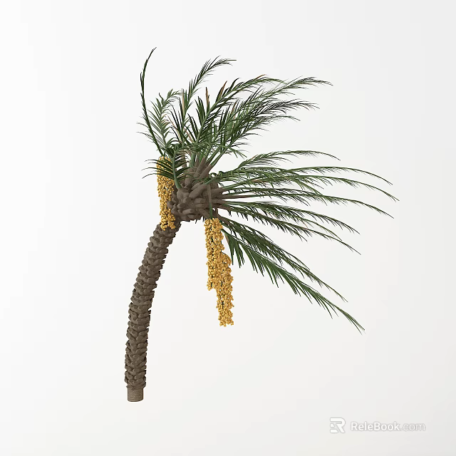 Lush Palm Tree With Green Fronds Brown Trunk And Yellow Fruit Clusters 3d model 