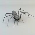Spotted Reptile With Long Legs And Red Joints On White Background