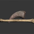 Realistic Animal Horn And Bone Displayed Isolated On White Background
