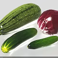 Fresh Green Striped Zucchini With Red Radicchio And Green Cucumbers