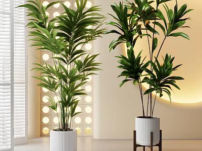 Indoor Potted Green Plants in White Ceramic Pots with Window Blinds and Decorative Wall 3d model