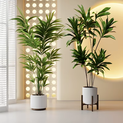 Indoor Potted Green Plants in White Ceramic Pots with Window Blinds and Decorative Wall 3d model