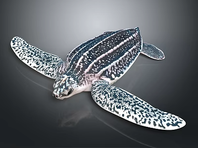 Realistic Sea Turtle With Black And White Patterned Shell And Flippers 3d model