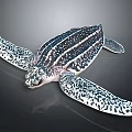 Realistic Sea Turtle With Black And White Patterned Shell And Flippers