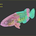 Vibrant Colorful Fish With Pink Head Yellow Body And Blue Fins On Dark Background