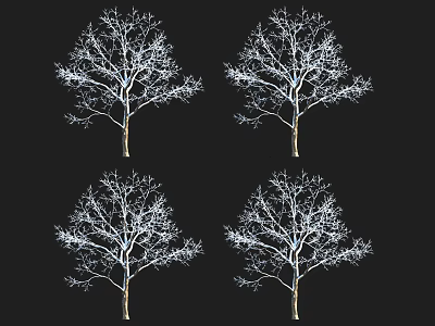 Four Leafless Arbor Trees With White Branches On Black Background 3d model
