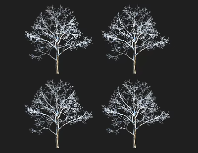 Four Leafless Arbor Trees With White Branches On Black Background 3d model