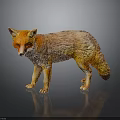Red Fox Standing with Fluffy Fur on Dark Background Showing Reflection 3d model