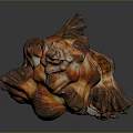 Aquatic Animal Conch Featuring Orange And Brown Spiral Shell With Detailed Texture Against Dark Background