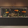 modern fish tank aquarium 3d model