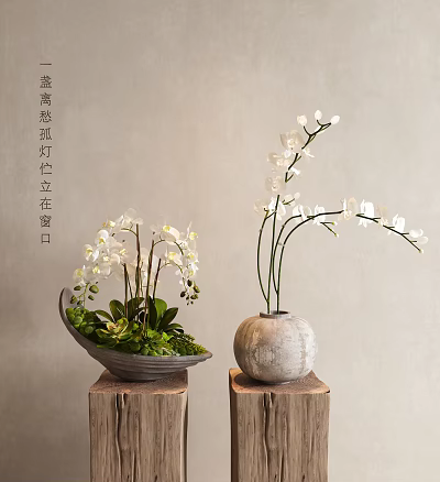 Bonsai Potted Plants with White Orchids Succulents in Ceramic Vases on Wooden Stumps Light Background 3d model