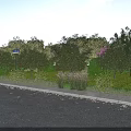 Scenic Municipal Road with Lush Green Trees Grass Shrubs and Stone Sidewalk Landscaping