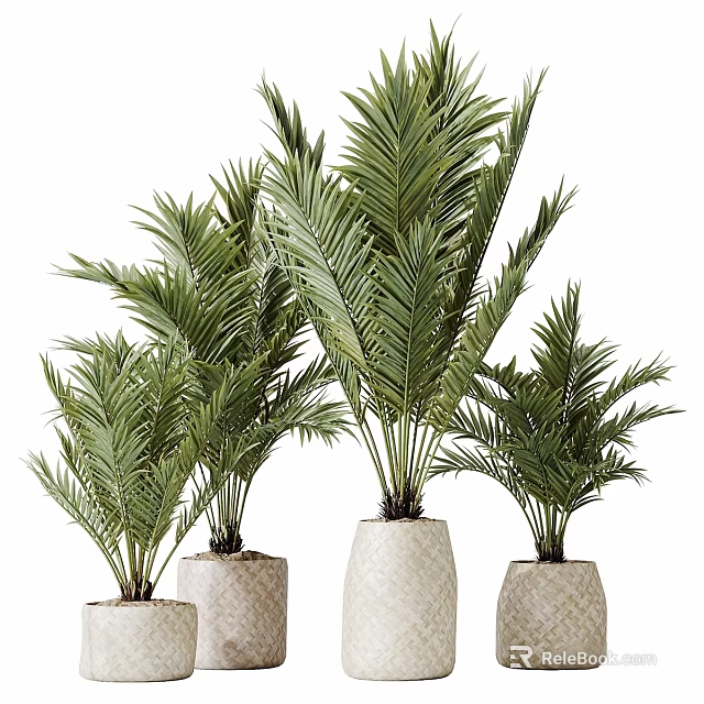 Decorative Ornament Set With Green Palm Plants In Woven Texture Pots 3d model 