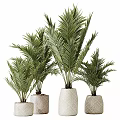 Decorative Ornament Set With Green Palm Plants In Woven Texture Pots