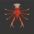 Australian rock lobster Macrobrachium prawn black and white lobster crayfish crayfish green lobster red crab shrimp European blue dragon 3d model