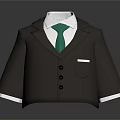 Brown Suit Jacket With White Shirt Green Tie Pocket And Buttons