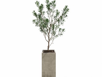 Simple tree plant potted plant 3d model