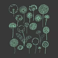 Gold And White Dandelion Wall Decor With Various Sizes And Intricate Patterns