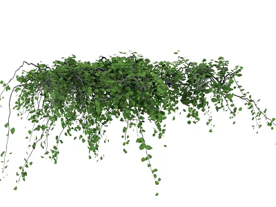 Lush Green Hanging Vines With Trailing Leaves And Natural Growth 3d model