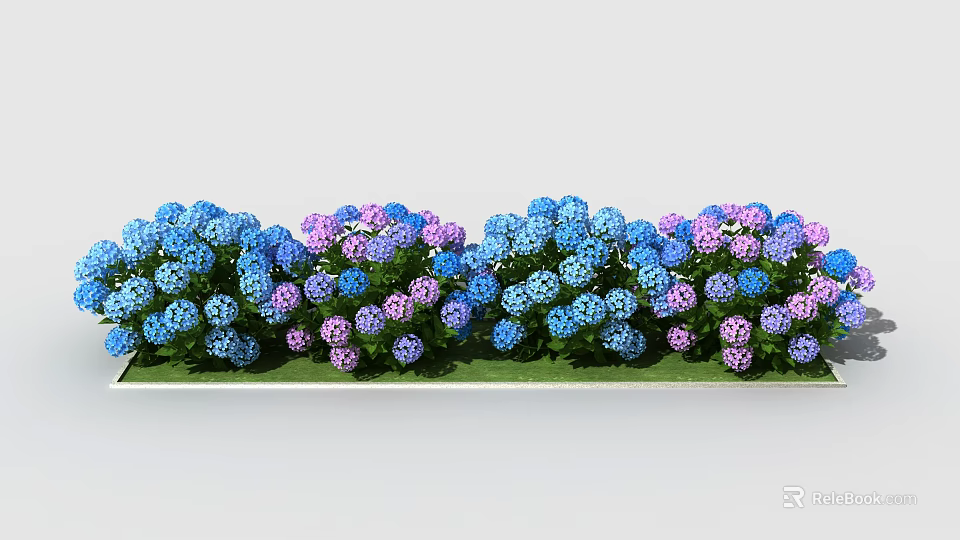 Vibrant Blue and Pink Hydrangeas Neatly Arranged in Garden with Green Leaves 3d model 