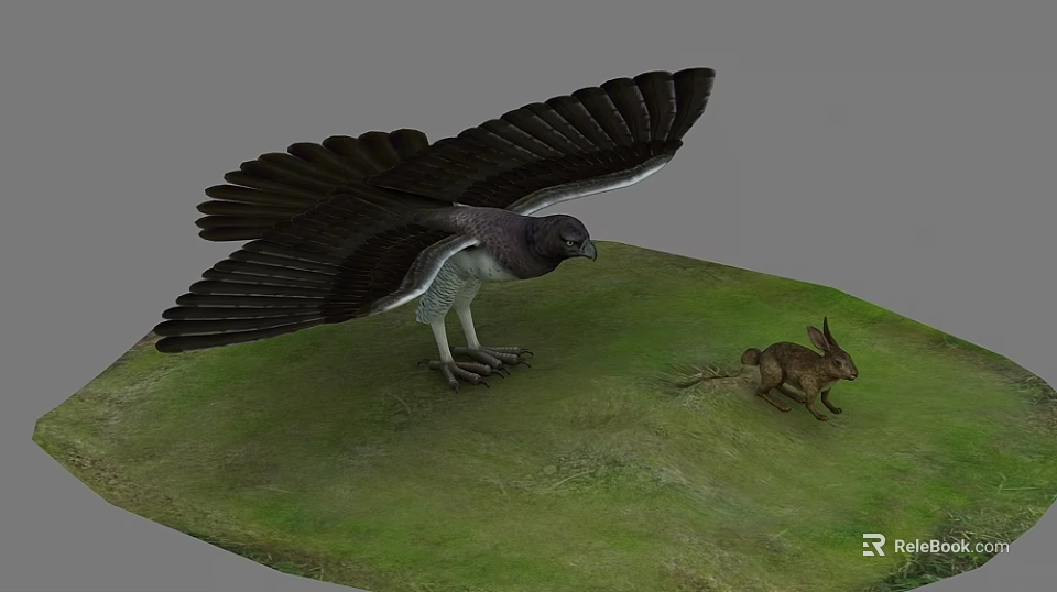 Large Eagle With Spread Wings Hunting Rabbit On Lush Green Grassland 3d model 