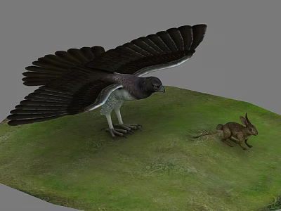 Large Eagle With Spread Wings Hunting Rabbit On Lush Green Grassland 3d model