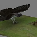 Large Eagle With Spread Wings Hunting Rabbit On Lush Green Grassland