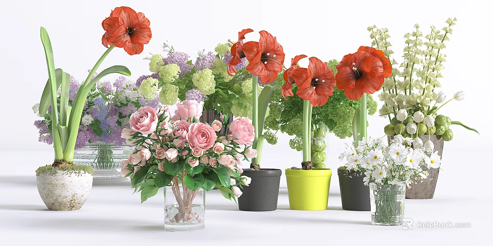 Colorful Potted Plants Red Flowers Pink Roses Purple White Blooms In Black Yellow Planters 3d model 