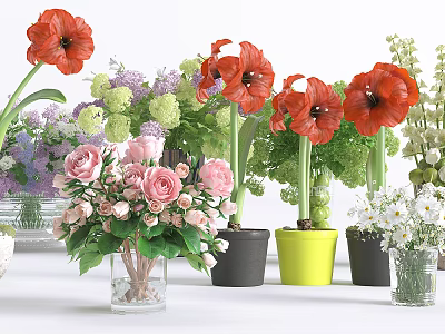 Colorful Potted Plants Red Flowers Pink Roses Purple White Blooms In Black Yellow Planters 3d model