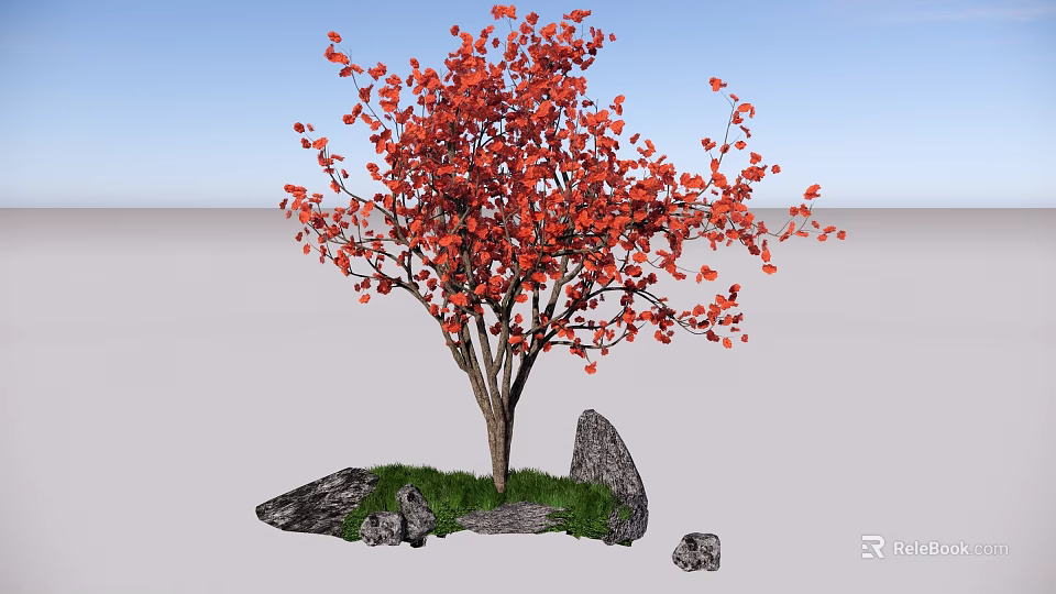 Vibrant Red Leaf Shrub Surrounded by Stones and Green Grass under Blue Sky 3d model 