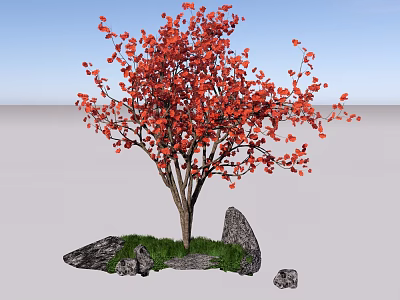 Vibrant Red Leaf Shrub Surrounded by Stones and Green Grass under Blue Sky 3d model