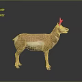 Realistic Standing Pronghorn Antelope With Brown White Coat On Gray Background
