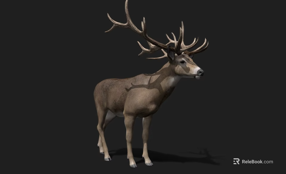 Realistic Deer With Large Antlers Standing On Black Background 3d model