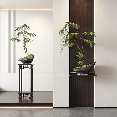 Bonsai Plant Decor In Modern Interior With Wooden Stand And Lush Green Leaves 3d model