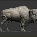 Realistic Bison Model Display On Green Base With Black Platform And White Particles