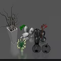 Assorted Indoor Ornamental Plants With Stylish White And Black Vases And Branch Arrangements