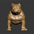 Golden Bulldog Statue Shiny Metallic Finish Standing Pose With Reflection On Black Surface