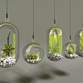 Modern Hanging Glass Planters with Succulent Plants and Small Pebbles for Indoor Decor