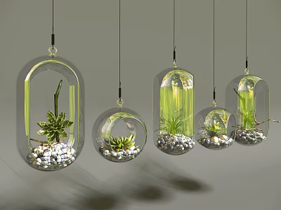 Modern Hanging Glass Planters with Succulent Plants and Small Pebbles for Indoor Decor 3d model