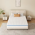 Comfortable Beige Mattress With Blue Edge And Padded Headboard Pillows Nightstand Plant And Window Curtains