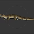 Realistic Crocodile 3D Model With Detailed Skin Texture Open Mouth Sharp Teeth Dark Background Reflection 3d model