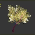 Lush Green Tree With Brown Trunk And Vibrant Leaves On Gray Background