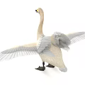 White Swan with Spread Wings Yellow Eyes Black Beak and Legs