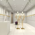 Modern Clothing Store Interior With Mannequins Clothing Display And Green Plant