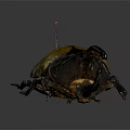 Flying Beetle With Yellow Spotted Back And Large Black Horn Detailed Close Up View